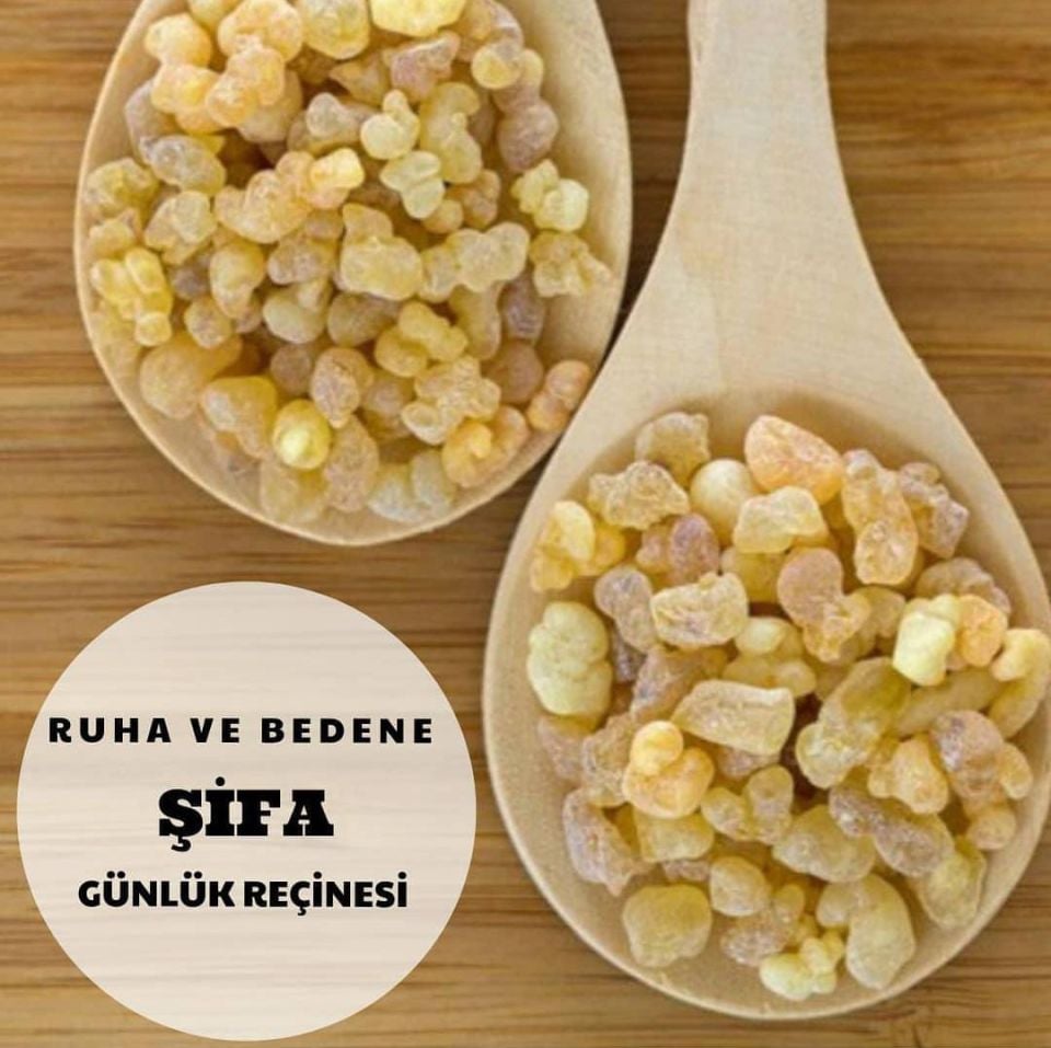 GÜNLÜK SAKIZI AKGÜNLÜK 100 GR