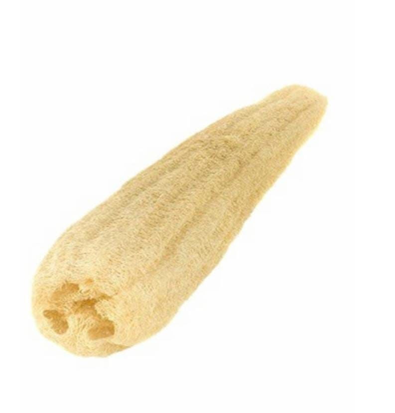 BÜTÜN KABAK LİFİ