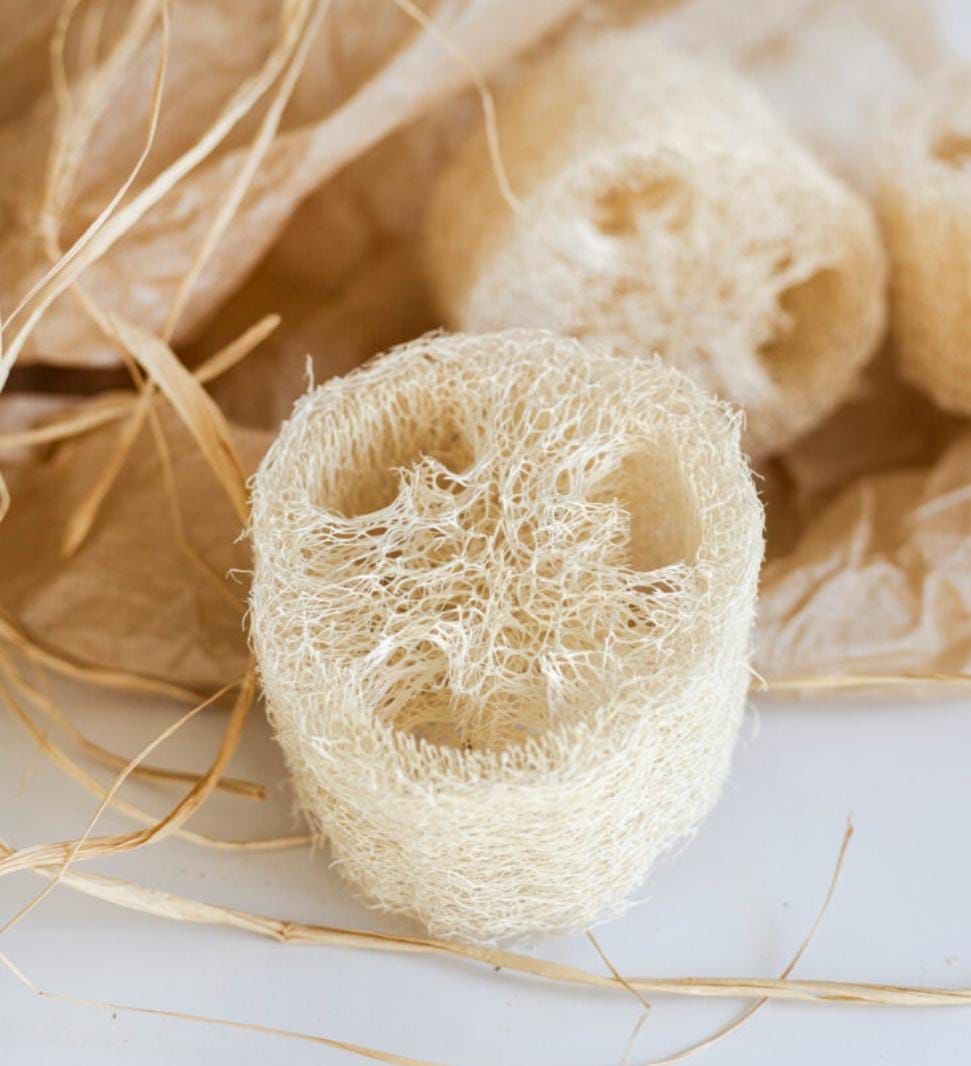 DİLİM KABAK LİFİ